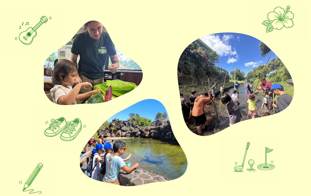 Children enjoying activities at Academia Aloha Camp